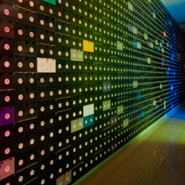 HISTORIA DEL MUSEO