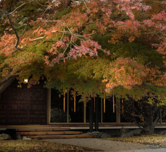 Jardines del museo